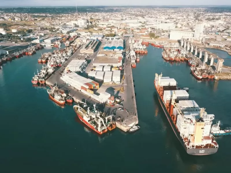 Un informe plantea que empresas del Puerto de Mar del Plata habr&iacute;an evitado instalar sistemas completos de destrucci&oacute;n de gases