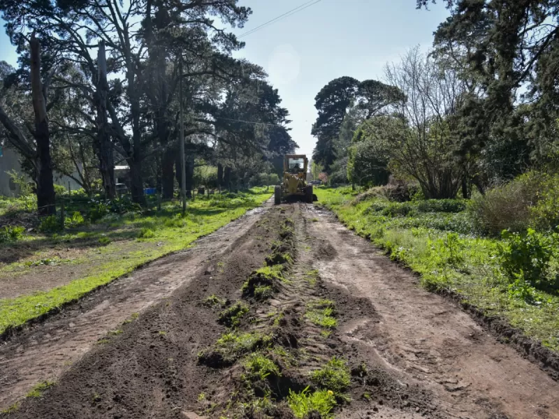 El Municipio de General Pueyrredon reparó más de 200 cuadras en el puerto y zonas aledañas