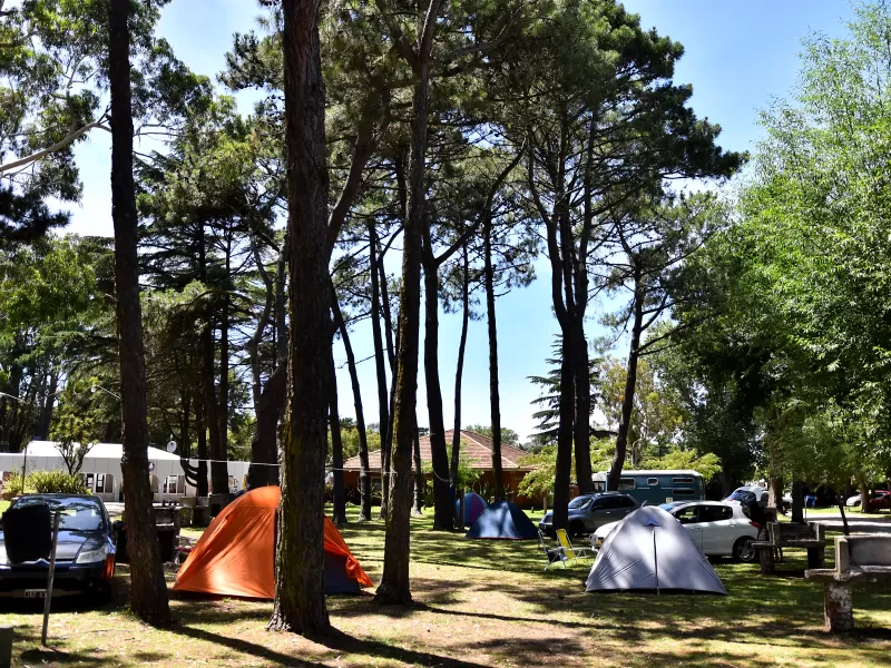 Aparecen indicios de celdas en el predio del Faro de la Memoria y frenan proyecto de destilería en Mar del Plata