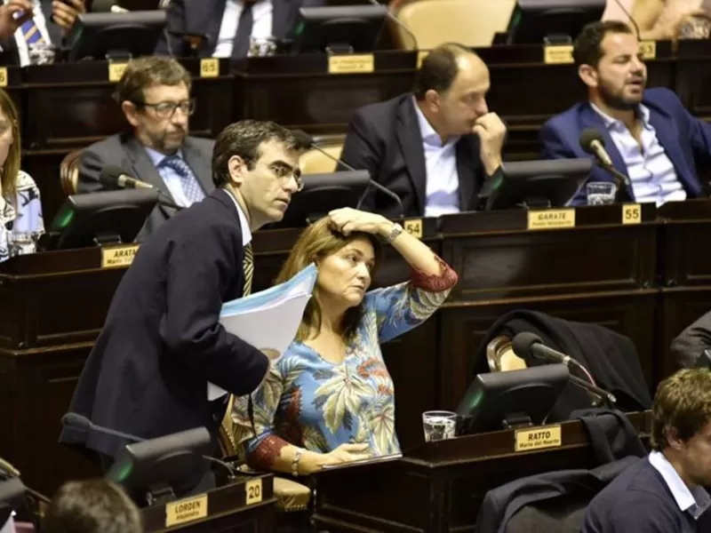 Matías de Urraza, el referente platense de Milei que trabaja como asesor legislativo para una diputada K