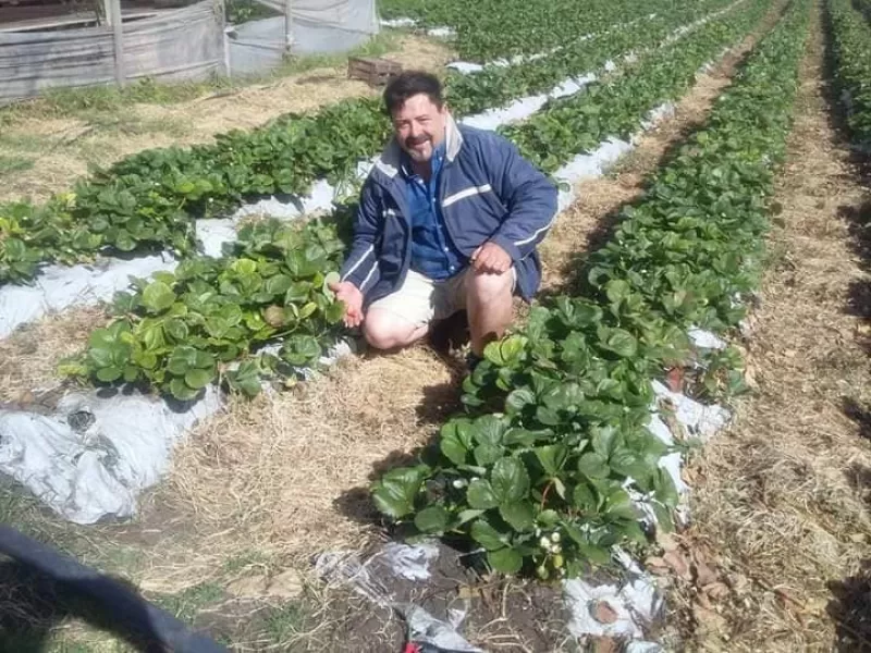 ¡Escándalo en Mar del Plata! Gastón Herrera, el "hombre de la seguridad" que deja a la ciudad en la lona