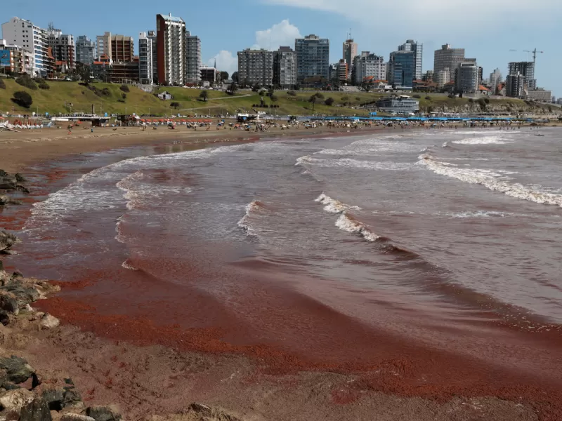 Ofertas de trabajo de este 22 de febrero en Mar del Plata