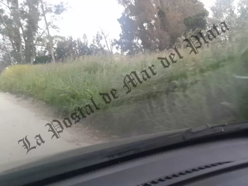 Juan Manuel López apuntó contra Santiago Bonifatti por el abandono de los barrios marplatenses