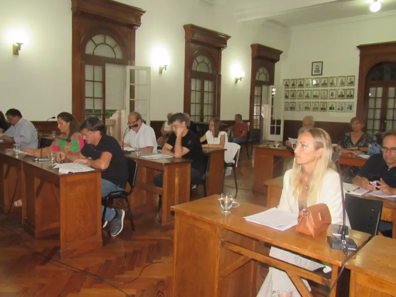 El cuerpo legislativo de 9 de Julio decidi&oacute; suspender el avance del procedimiento disciplinario