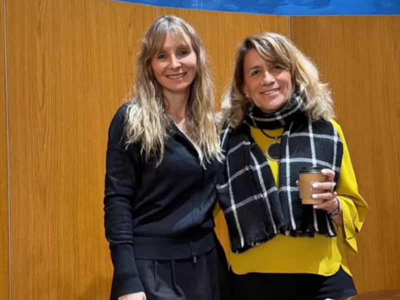 Una figura con m&aacute;s de diez a&ntilde;os en pie, amenazada: Buenos Aires debate reemplazar la ley del abogado del ni&ntilde;o