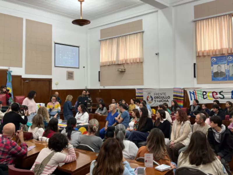 D&iacute;a de la Ni&ntilde;ez y Adolescencia trans: convocatoria en el recinto del HCD marplatense