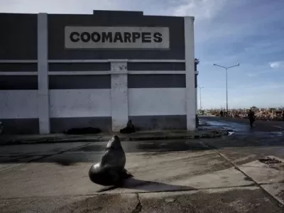 La Justicia recibe otra denuncia explosiva por contaminaci&oacute;n y riesgos operativos