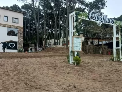 Villa Gesell: Luis Vivas puso bajo la lupa la extracci&oacute;n de &aacute;rboles frente al comercio de Clarisa Armando