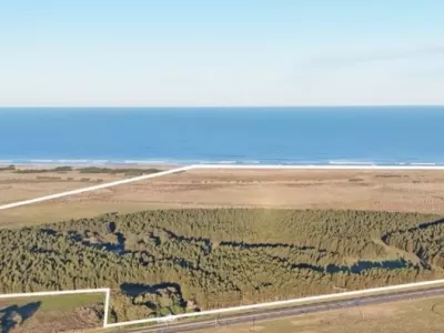 Ofrecen en venta un campo de 336 hect&aacute;reas junto a Mar de Cobo y crece la preocupaci&oacute;n ambiental
