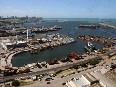 Investigan a plantas harineras del Puerto por presunta contaminaci&oacute;n y vertido de efluentes al mar