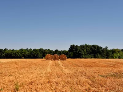 Nuevos actores en el agro: la inversión urbana migra al campo