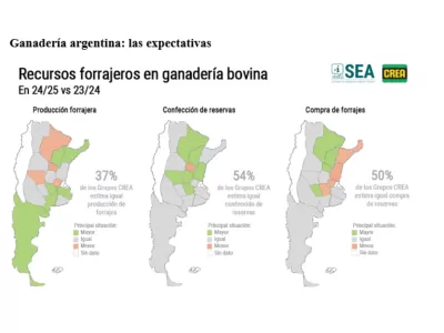 Expectativas favorables para el negocio ganadero y lechero, aunque los precios generan dudas