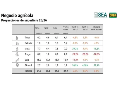 Soja en retroceso: más de 2 millones de hectáreas fuera del mapa agrícola 2025/26