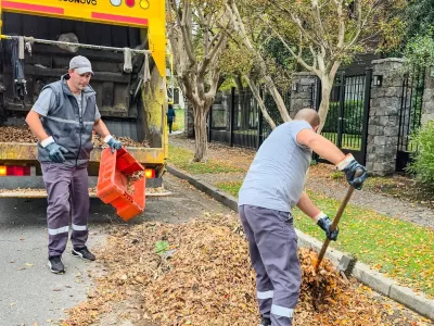 El Municipio de Mar del Plata refuerza la limpieza urbana durante el otoño