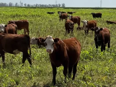 Ganader&iacute;a Posible se present&oacute; en Expoagro: m&aacute;s producci&oacute;n con mejor gesti&oacute;n econ&oacute;mica y ambiental