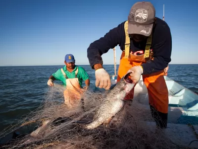 Advierten que el Presupuesto 2025 desatará una crisis histórica en la pesca nacional