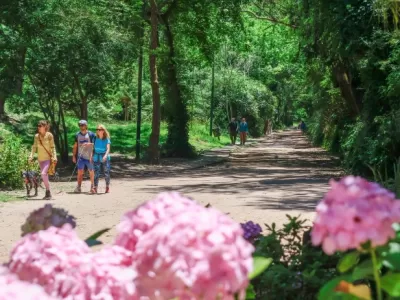 Villa Gesell: reclaman acceso al expediente de una obra en el bosque y denuncian falta de respuestas del Municipio