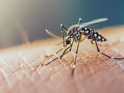 Alertan sobre el avance del dengue con la llegada de la primavera