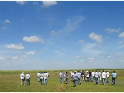 El impacto en el agro del nuevo esquema cambiario