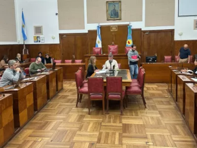 Mar del Plata: proponen demarcación para estacionamiento frente a farmacias y un proyecto de artesanos en calle Mitre