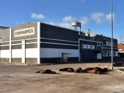 Mar del Plata enfrenta otra vez el fantasma de la contaminaci&oacute;n y una denuncia que compromete a Inchausti