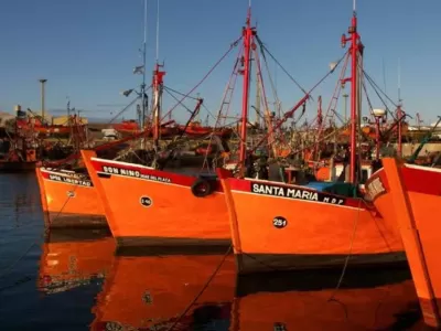 Baragiola reclam&oacute; que la pesca reciba el mismo alivio fiscal que otros sectores productivos