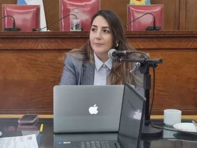 Ambiente en Mar del Plata: un tratamiento de 18 expedientes en el orden del día