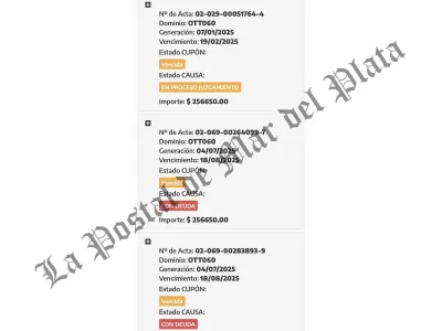 Un concejal libertario en Nueve de Julio con 16 multas y m&aacute;s de 4 millones de pesos en infracciones