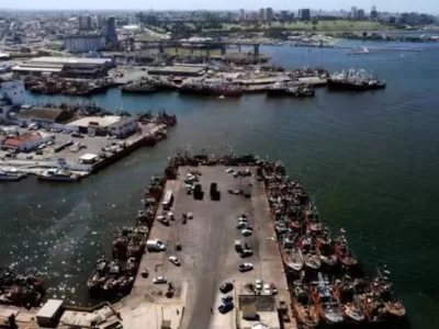 Acusan a organismos p&uacute;blicos de actuar como protecci&oacute;n frente a la contaminaci&oacute;n denunciada en el Puerto