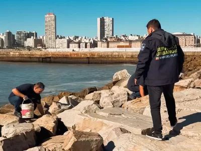 El Municipio despleg&oacute; limpieza y control de plagas en la zona del Torre&oacute;n del Monje