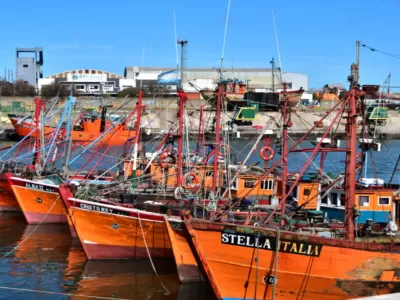 La investigaci&oacute;n sobre harineras en Mar del Plata incorpora an&aacute;lisis de dimetilamina y monometilamina como precursores de nitrosaminas