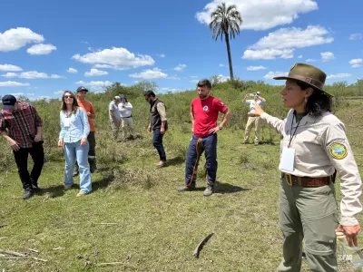 La FAO convoc&oacute; a expertos de la regi&oacute;n para responder a la plaga del picudo rojo de las palmeras