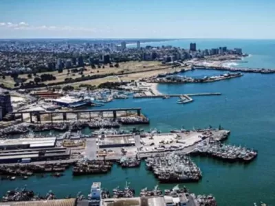 El puerto bajo alerta: detectaron concentraciones extremas de trimetilamina en la zona