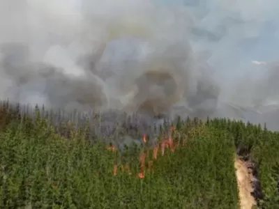 Advierten que la mayor&iacute;a de los incendios podr&iacute;an frenarse antes con detecci&oacute;n temprana