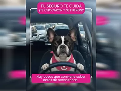 Seguro de auto para conductores que usan el veh&iacute;culo todos los d&iacute;as