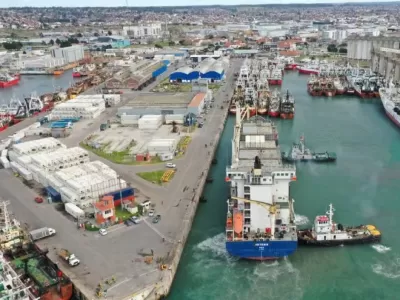 Denuncian que el puerto muestra signos de colapso ambiental con efectos sobre especies protegidas