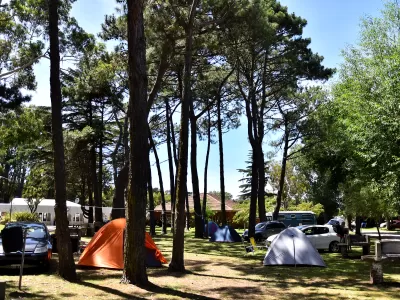 Aparecen indicios de celdas en el predio del Faro de la Memoria y frenan proyecto de destilería en Mar del Plata