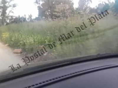 Juan Manuel López apuntó contra Santiago Bonifatti por el abandono de los barrios marplatenses