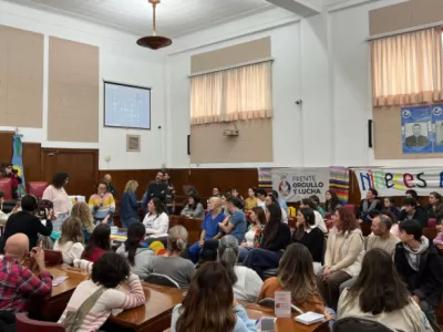 D&iacute;a de la Ni&ntilde;ez y Adolescencia trans: convocatoria en el recinto del HCD marplatense