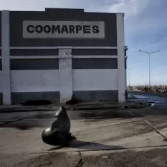 La Justicia recibe otra denuncia explosiva por contaminaci&oacute;n y riesgos operativos