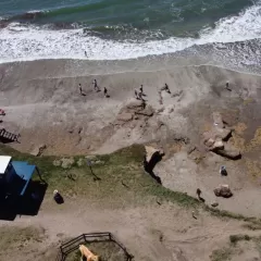 Alerta por erosi&oacute;n costera en Mar Chiquita: riesgo de ca&iacute;da de acantilados y viviendas