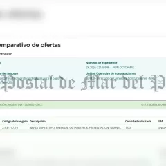A pesar del ajuste, el Gobierno sostiene gastos millonarios para mantener veh&iacute;culos oficiales