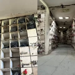 Vecinos denuncian el abandono total del Cementerio Parque de Mar del Plata