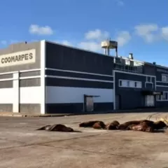 Mar del Plata enfrenta otra vez el fantasma de la contaminaci&oacute;n y una denuncia que compromete a Inchausti