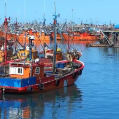 La Justicia federal investiga posibles vertidos contaminantes de harineras en el Puerto de Mar del Plata