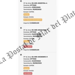 Un concejal libertario en Nueve de Julio con 16 multas y m&aacute;s de 4 millones de pesos en infracciones