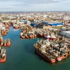 Minguillón es acusado de convalidar un trámite sin originales en un expediente por contaminación