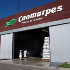 Cuestionan la lentitud de una causa que investiga contaminaci&oacute;n industrial en el puerto