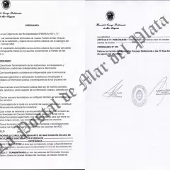 Edil de Dante Gebel logr&oacute; que el Concejo Deliberante de Mar Chiquita avance hacia la transmisi&oacute;n en vivo de todas sus sesiones