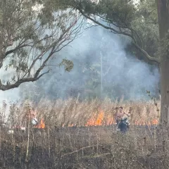&iexcl;Incendio en Aeroparque destapa abandono y desidia municipal en Mar del Plata!